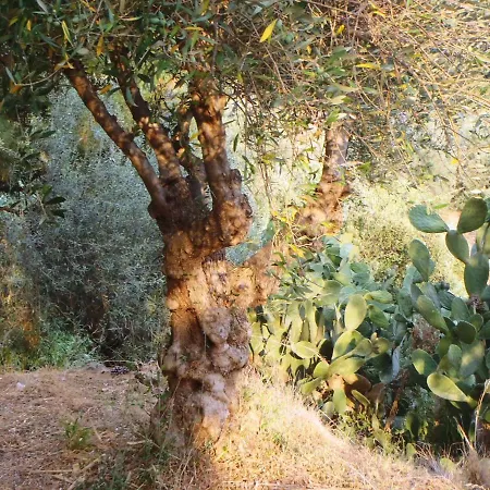 Casa Coniglio *